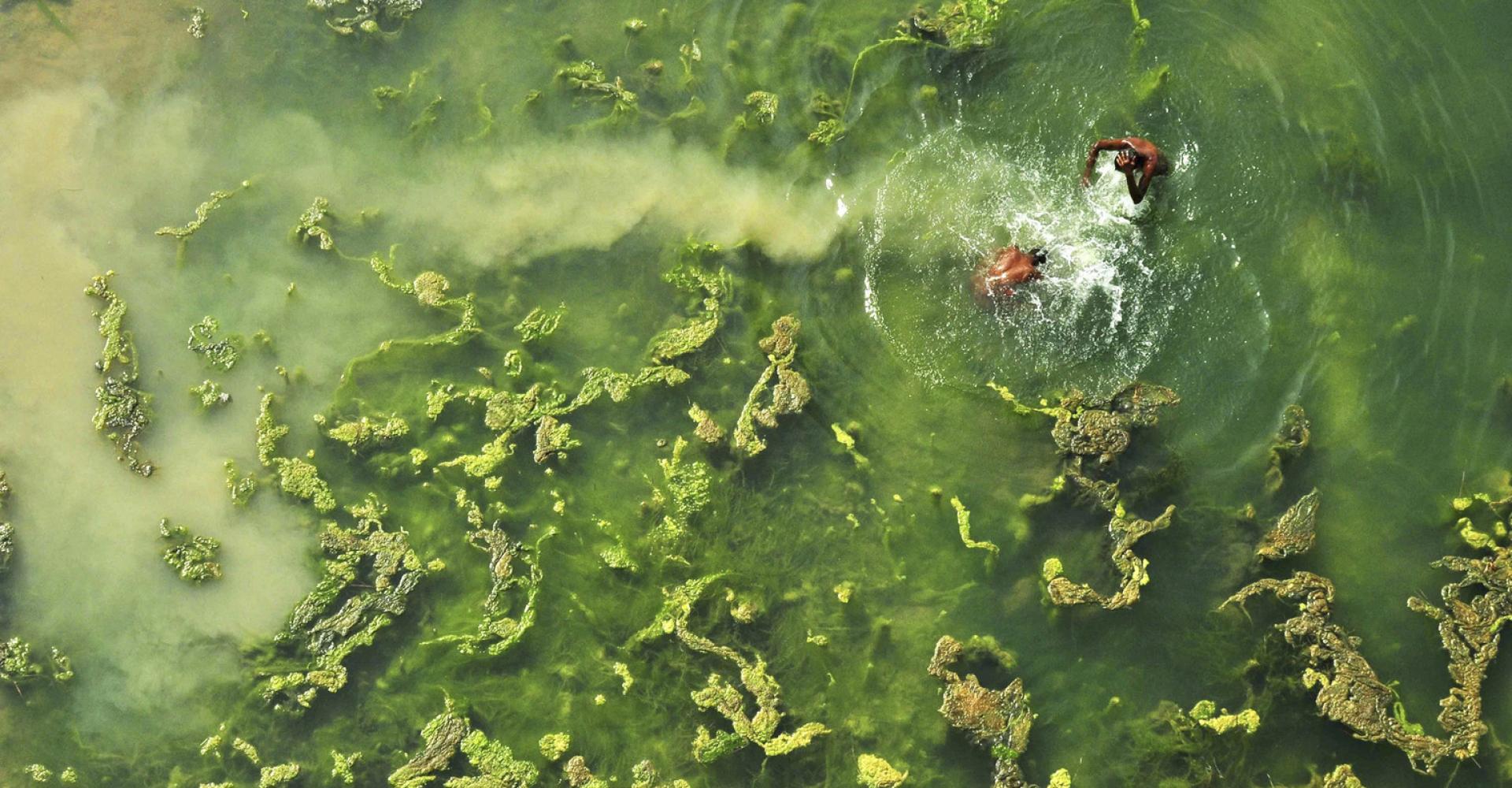 aerial view of two men palying in water